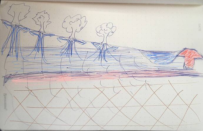 photo_2025-02-17_11-18-16